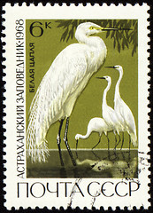 Image showing Egret on post stamp