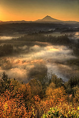 Image showing Sunrise Over Mount Hood One Foggy Morning Vertorama