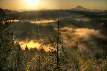Image showing Sunrise Over Mount Hood One Foggy Morning 2