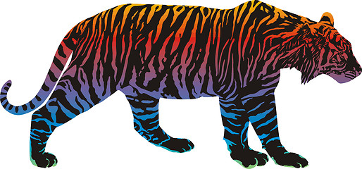 Image showing Rainbow in the tiger