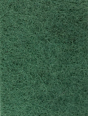 Image showing Green Abrasive Pad