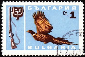 Image showing Fowl bird on post stamp