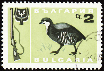 Image showing Fowl bird on post stamp