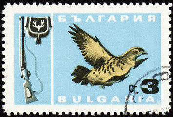 Image showing Fowl bird on post stamp