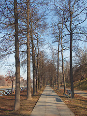 Image showing Path among trees