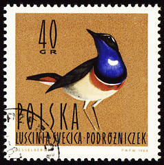 Image showing Bluethroat on post stamp
