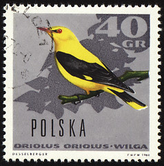 Image showing Oriole on post stamp