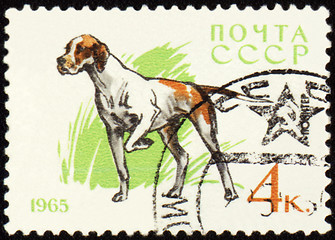 Image showing Pointer on post stamp