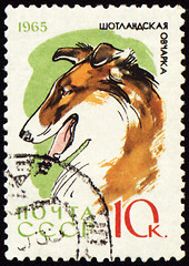 Image showing Colly on post stamp
