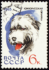 Image showing South Russian Shepherd Dog on post stamp