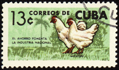 Image showing Rooster and hen on post stamp