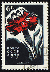 Image showing Red carnation flower on post stamp