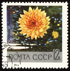 Image showing Yellow dahlia on post stamp