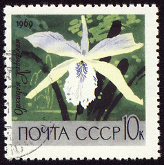 Image showing White orchid on post stamp