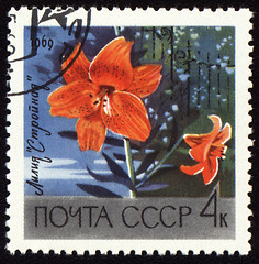 Image showing Orange lily on post stamp