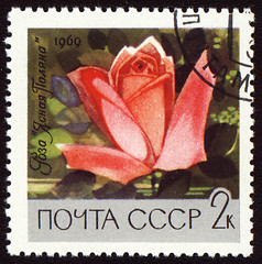 Image showing Red rose on post stamp
