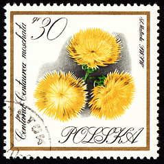 Image showing Yellow flowers on post stamp