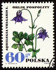 Image showing Aquilegia vulgaris on post stamp