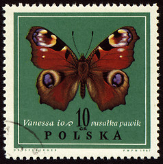 Image showing Butterfly Vanessa on post stamp