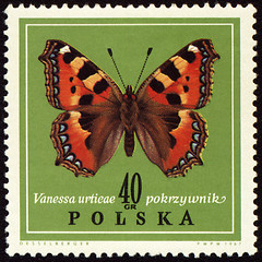 Image showing Butterfly Vanessa on post stamp