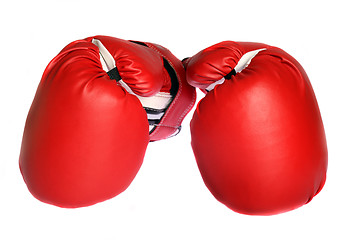 Image showing Boxing gloves