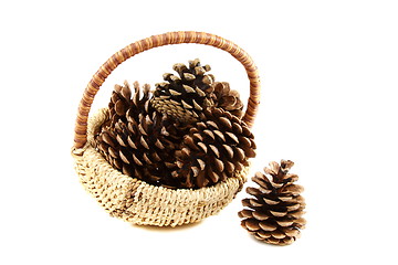 Image showing Pine cones in basket.