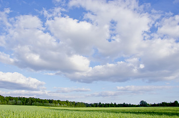 Image showing Huge green meadow shadows. Cloudy blue sky 