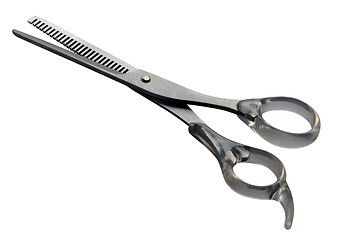 Image showing Scissors