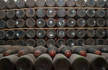 Image showing Red wine bottles in a cellar