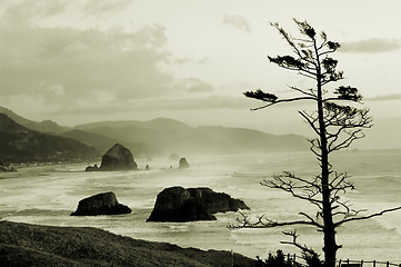 Image showing Cannon beach