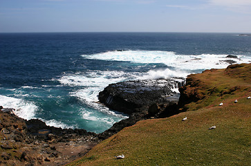 Image showing Nobbies and Seal Rocks