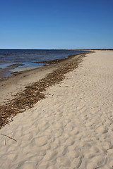 Image showing Bulli beach