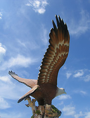 Image showing Eagle