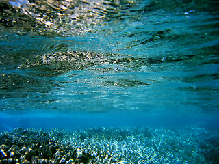 Image showing underwater landscape