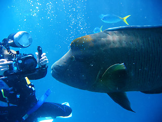 Image showing underwater scene