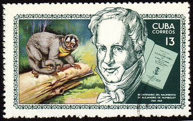 Image showing Alexander von Humboldt and monkey on post stamp