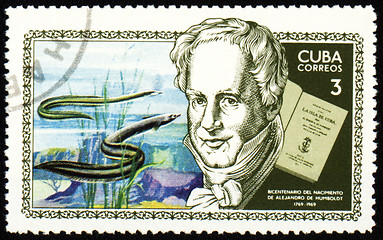 Image showing Alexander von Humboldt and sea-eel on post stamp