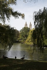 Image showing Central Park, New York