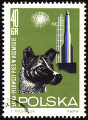 Image showing First dog Laika in space on post stamp