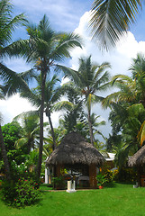 Image showing Tranquil massage hut in the tropical Dominican Republic