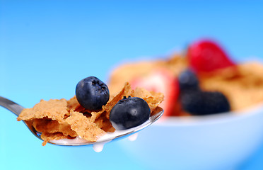 Image showing Spoonful of bran flakes with fruit