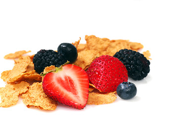 Image showing Bran cereal with blueberries, strawberries and blackberries