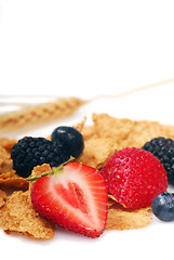 Image showing Bran cereal with blueberries, strawberries and blackberries