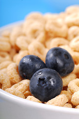 Image showing Oat cereal with blueberries