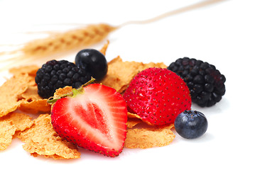 Image showing Bran cereal with blueberries, strawberries and blackberries