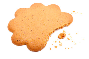 Image showing Ginger Cookie