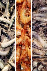 Image showing Collage fresh fish