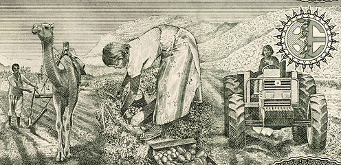 Image showing Eritrean Farmers