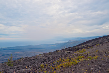 Image showing View from Chain of craters road in Big Island Hawaii