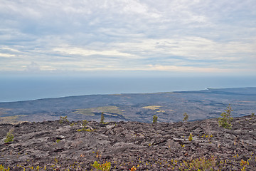 Image showing View from Chain of craters road in Big Island Hawaii